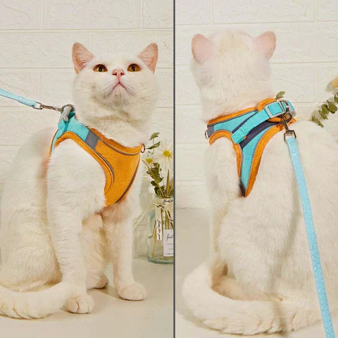 KatteSele™  - Tag din kat sikkert med udenfor!