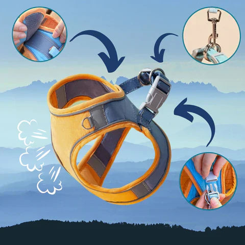 KatteSele™  - Tag din kat sikkert med udenfor!