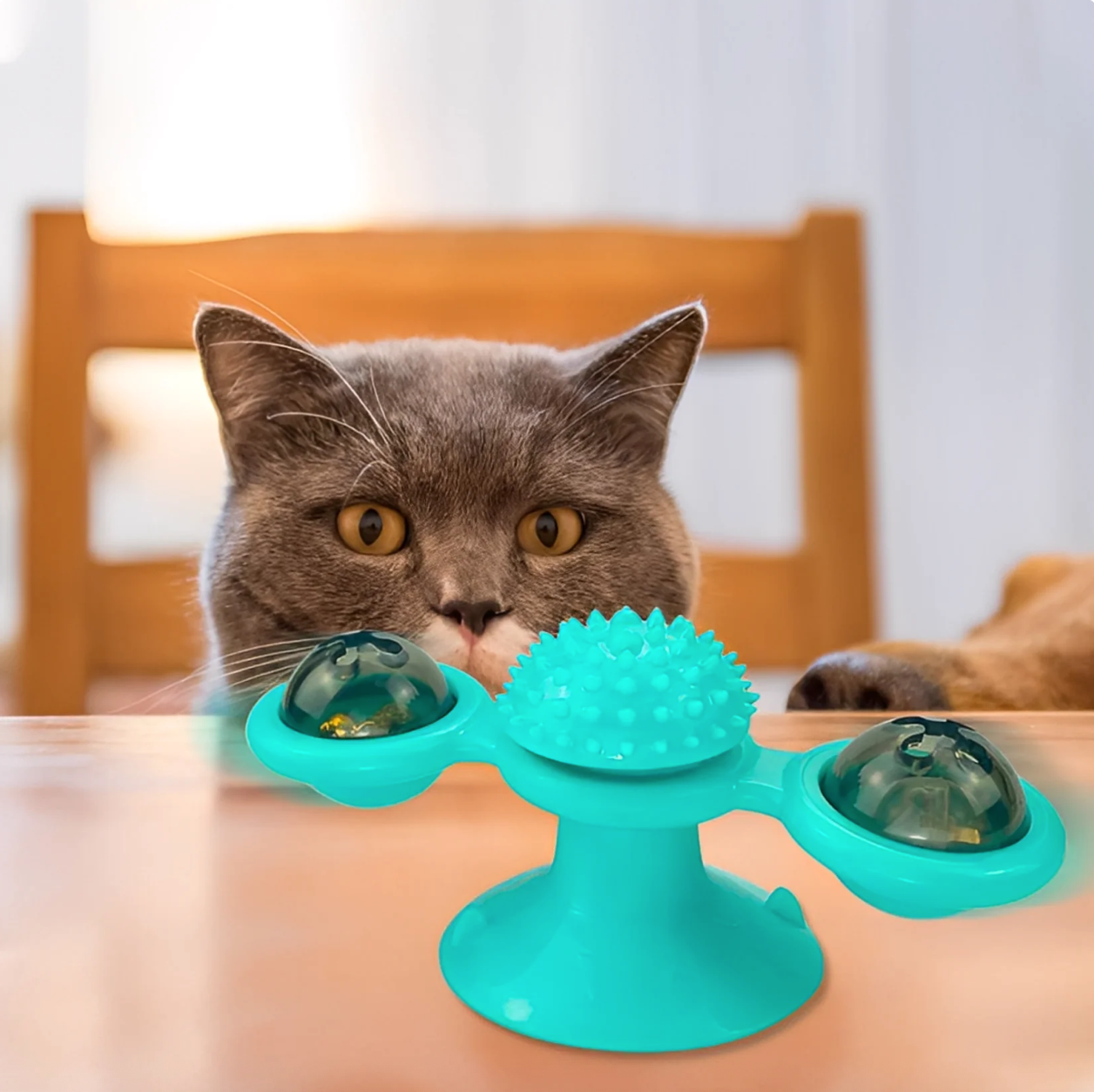 SpinPote™ – Hold katten aktiv og glad