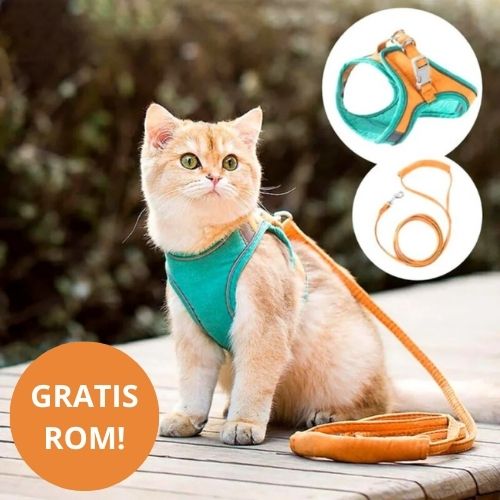 KatteSele™  - Tag din kat sikkert med udenfor!