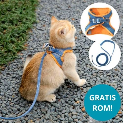 KatteSele™  - Tag din kat sikkert med udenfor!