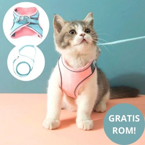 KatteSele™  - Tag din kat sikkert med udenfor!