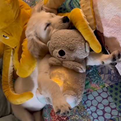 TrygOtter™ – Beroligende tryghed til din hund