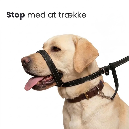 HundKraft™ - Tag din store hund sikkert i snor!