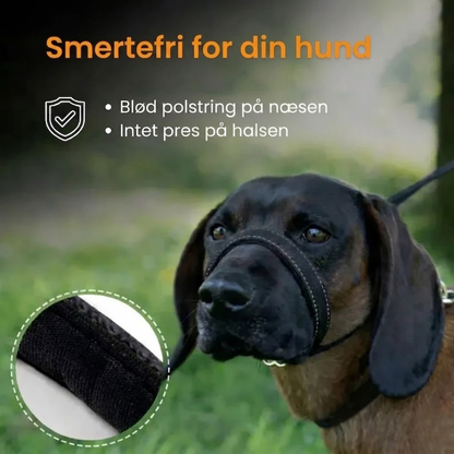 HundKraft™ - Tag din store hund sikkert i snor!