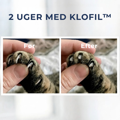 KloFil™ - Slib kløerne automatisk — og hold katten underholdt!