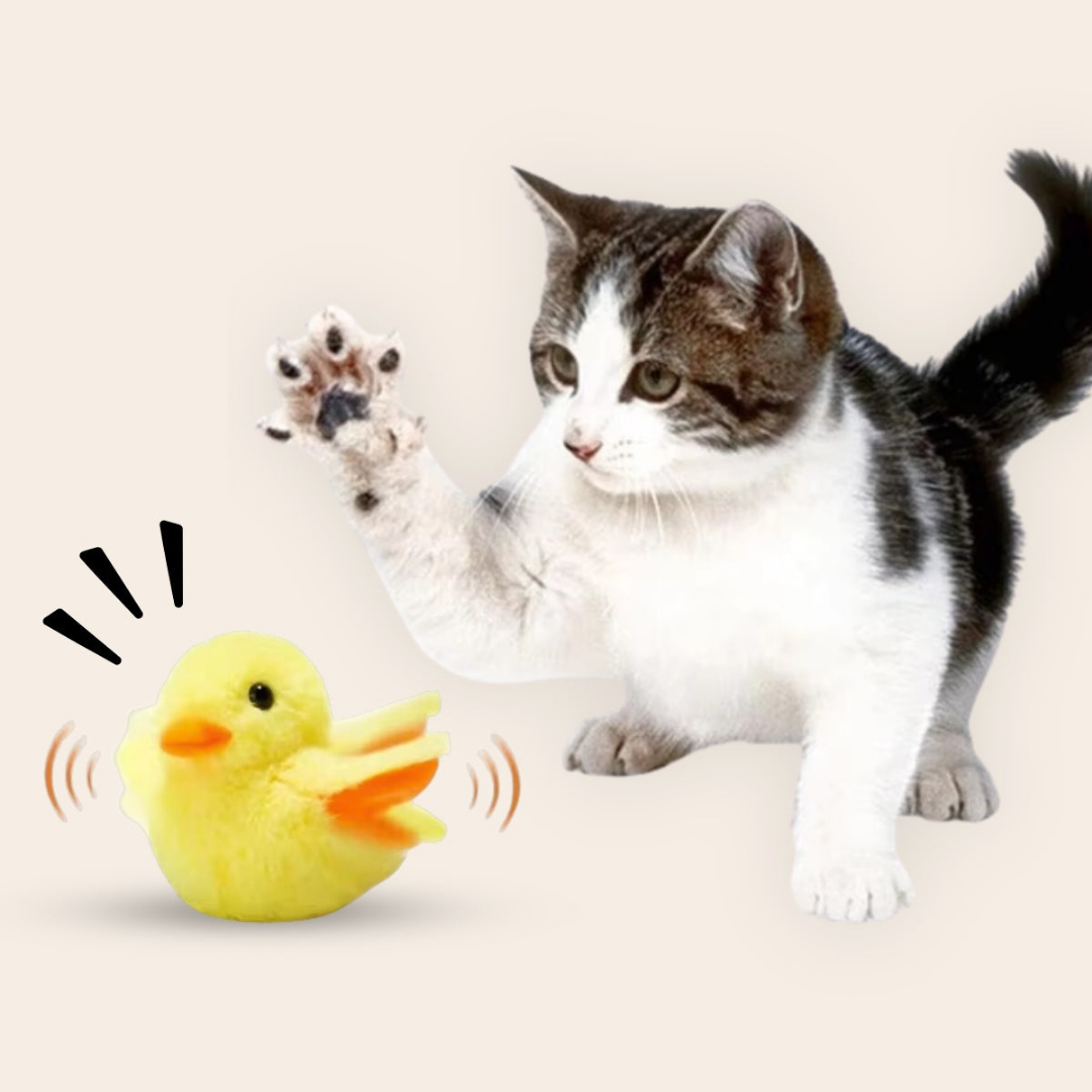 JagtFugl™ – Den perfekte legekammerat til din kat