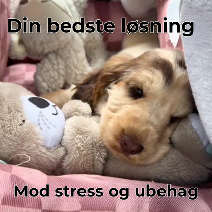 TrygOtter™ – Beroligende tryghed til din hund