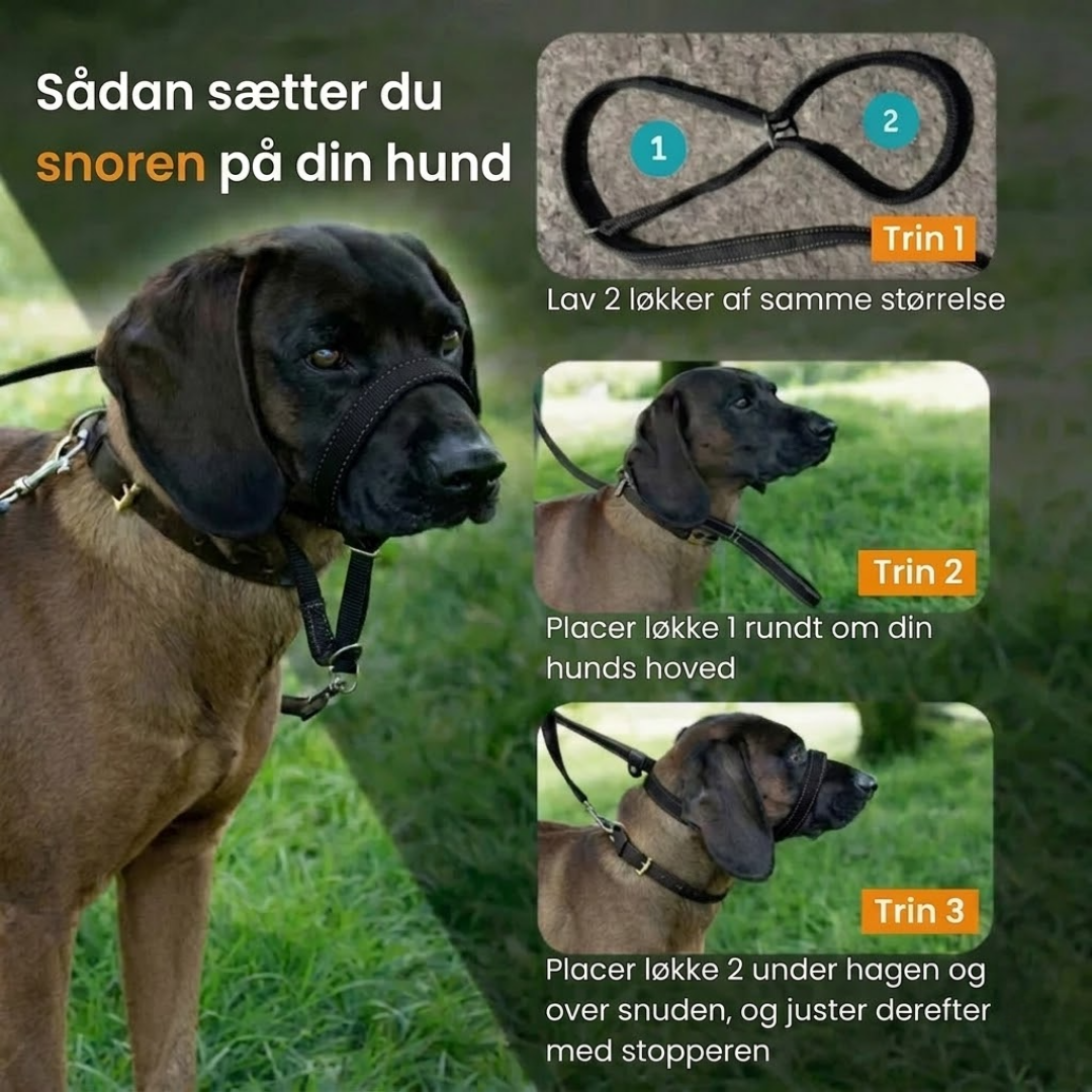 HundKraft™ - Tag din store hund sikkert i snor!