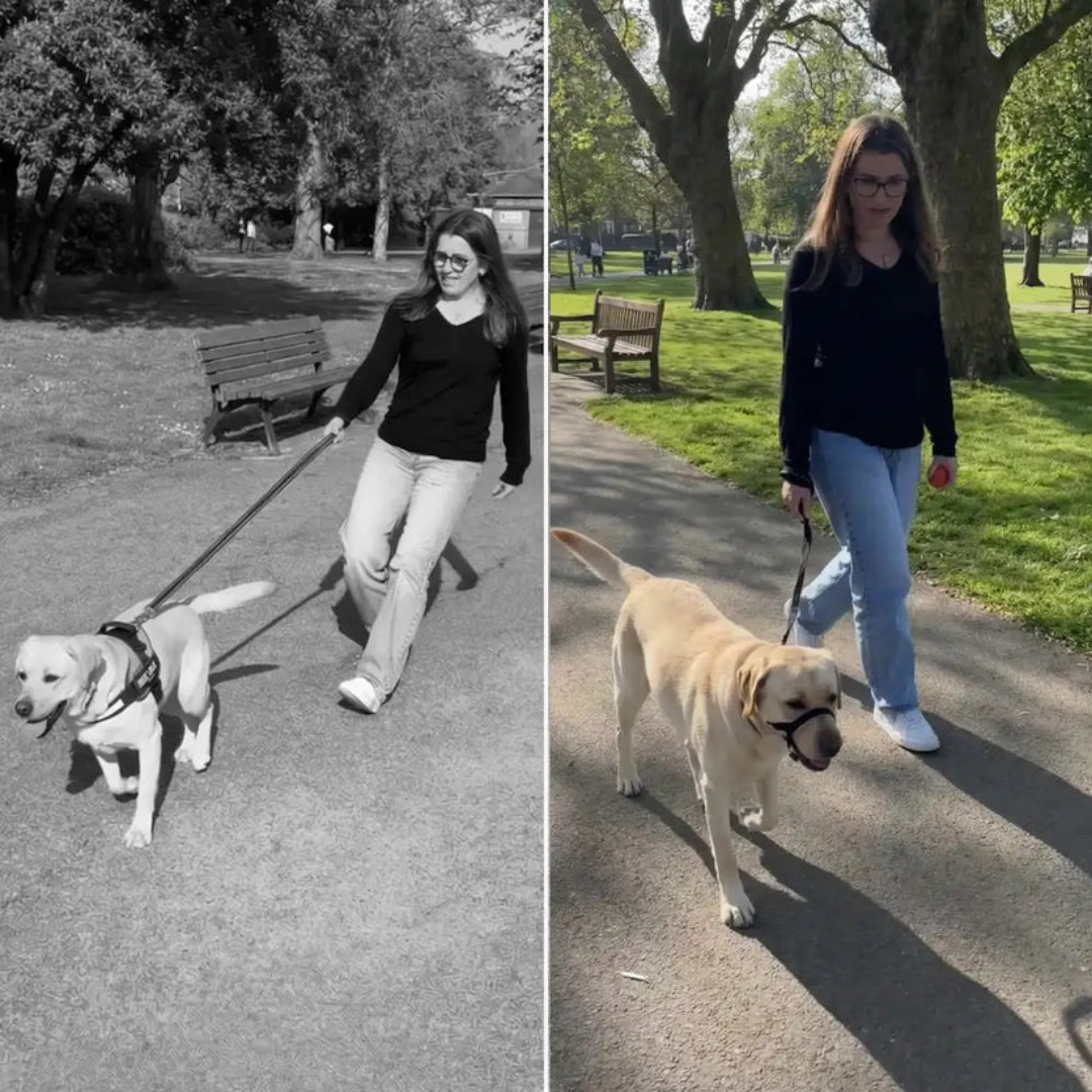 HundKraft™ - Tag din store hund sikkert i snor!