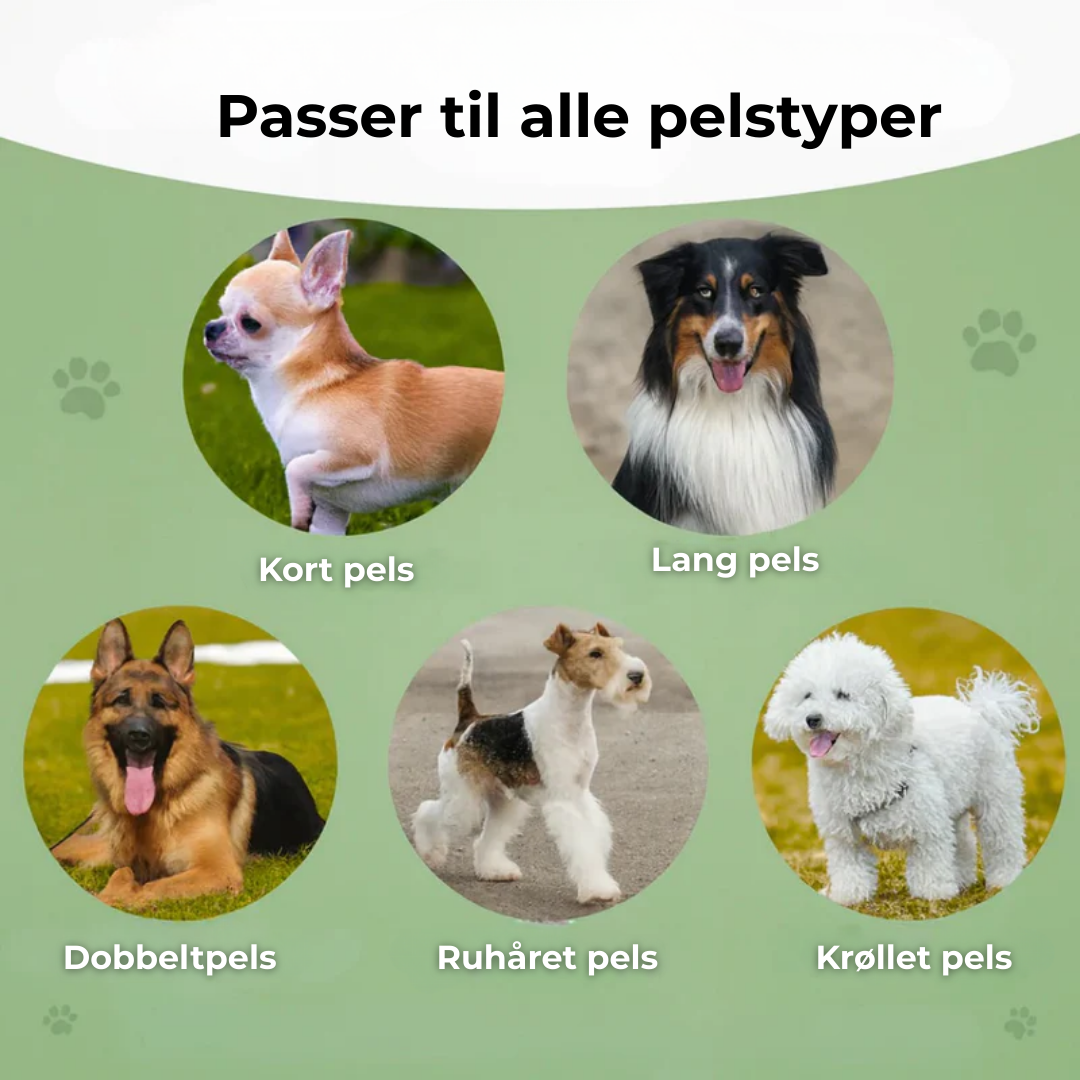 PelsRo™ – Skånsom pleje til en sund og glansfuld pels