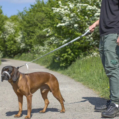 HundKraft™ - Tag din store hund sikkert i snor!