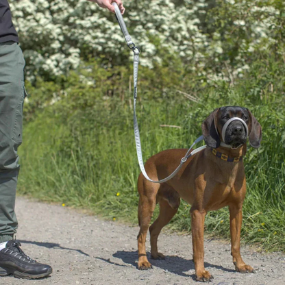 HundKraft™ - Tag din store hund sikkert i snor!