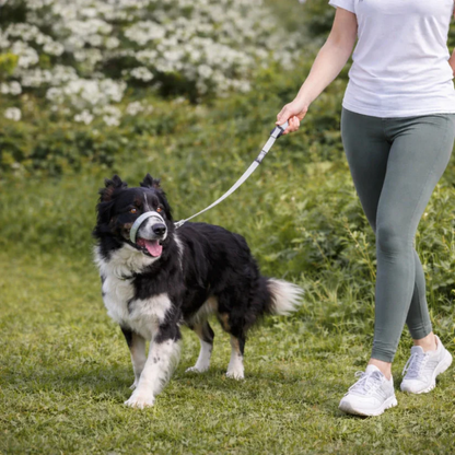 HundKraft™ - Tag din store hund sikkert i snor!