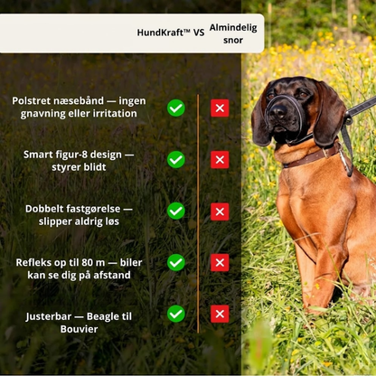 HundKraft™ - Tag din store hund sikkert i snor!