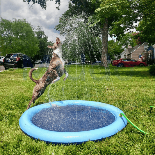 SplashFun™ - Ultimativ vandsjov for kæledyr og barn!